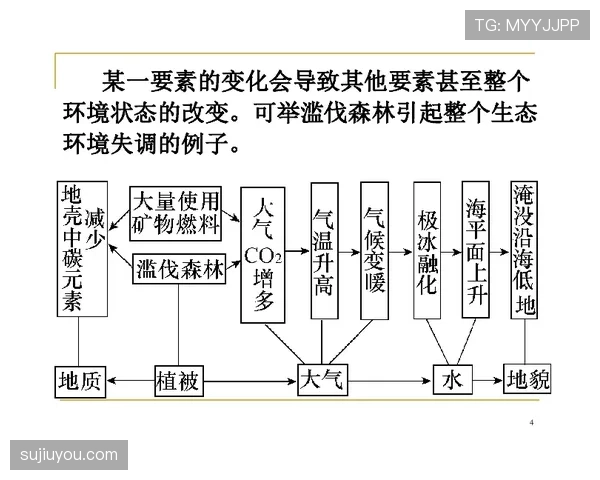 基米希与布鲁诺传控依赖的结构性差异及其对体系统筹的影响